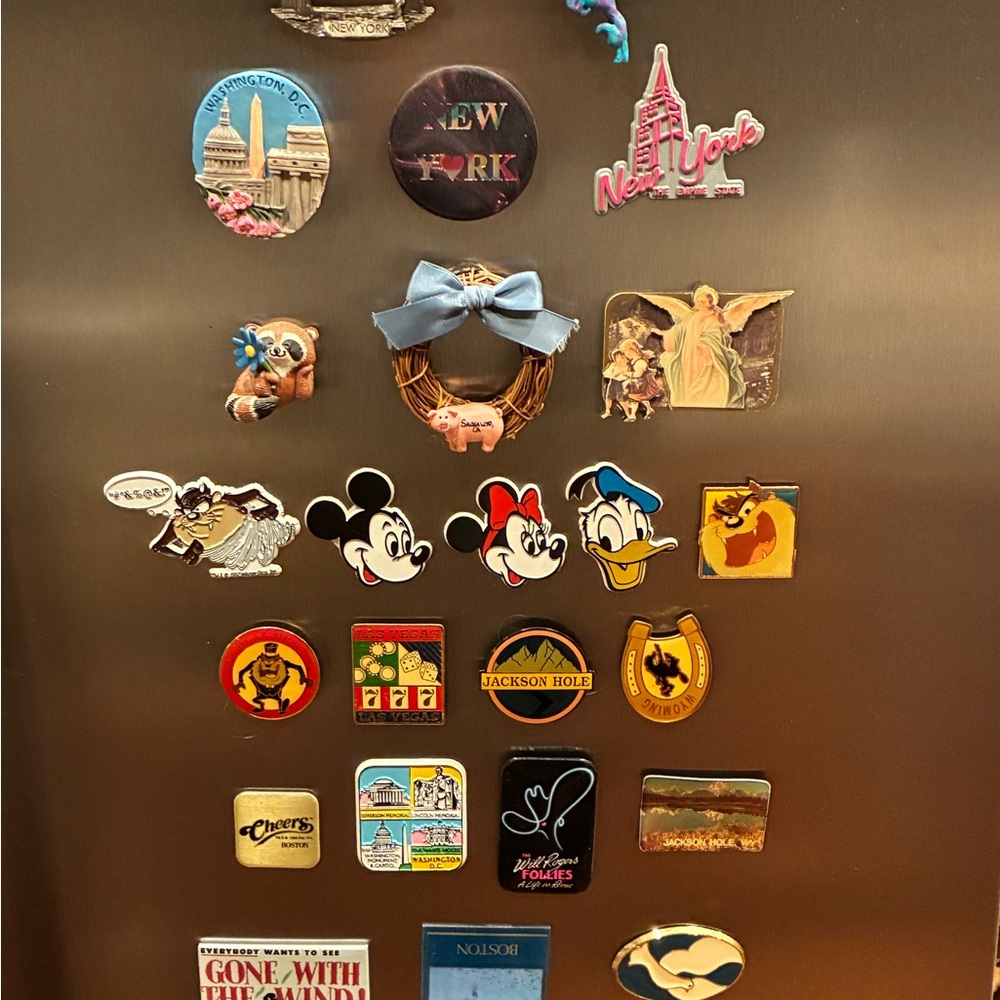 Assorted Fridge Magnets